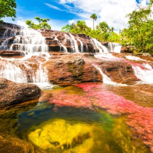 <b>Caños Cristales, </b><br>the river of 7 colors in Colombia
