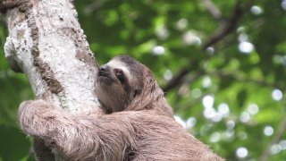 7 things to do in the <b>Colombian Caribbean in low season</b>