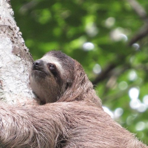 7 things to do in the <b>Colombian Caribbean in low season</b>