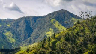 Terra Colombia Environmental and social commitment