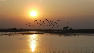 Disconnection Challenge – Deep into Colombia