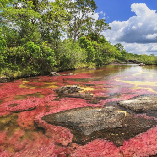 <b>Tourism in Colombia: </b><br>a rapidly changing destination