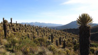 Avis voyageur Aurore Arnaud