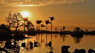 Les beaux couchers de soleil des Llanos orientales
