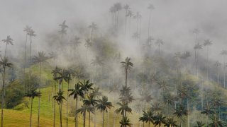 <b>The coffee region off the beaten track</b><br> with Terra Colombia