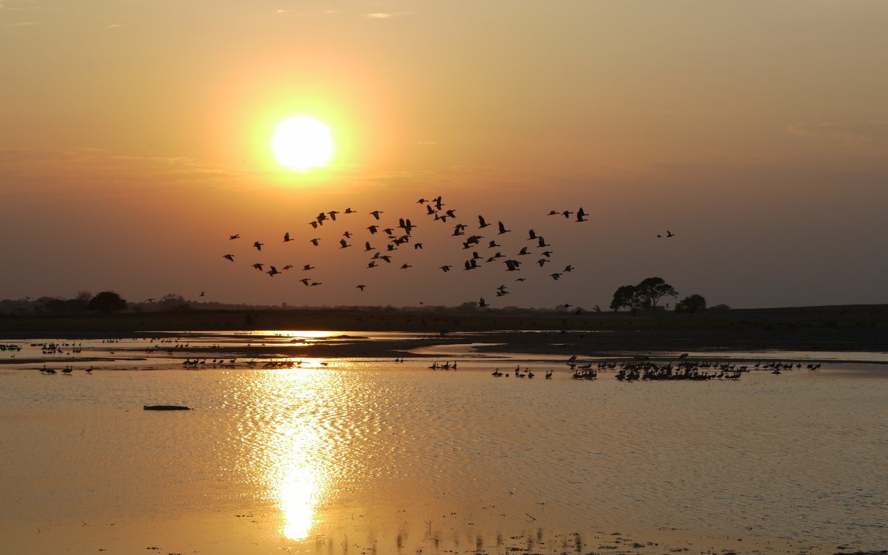Dans les Llanos en Colombie 