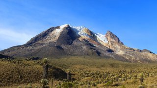 <b>Nevados Trek</b><br> from Salento and Cocora