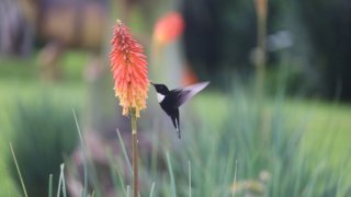 Can you travel to Colombia right now?