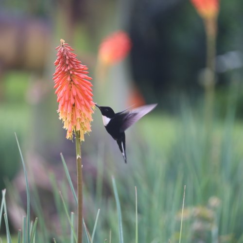 Can you travel to Colombia right now?