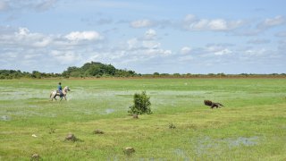 <b>4 regions away from the tourist routes</b> to <br>visit Colombia off the beaten path