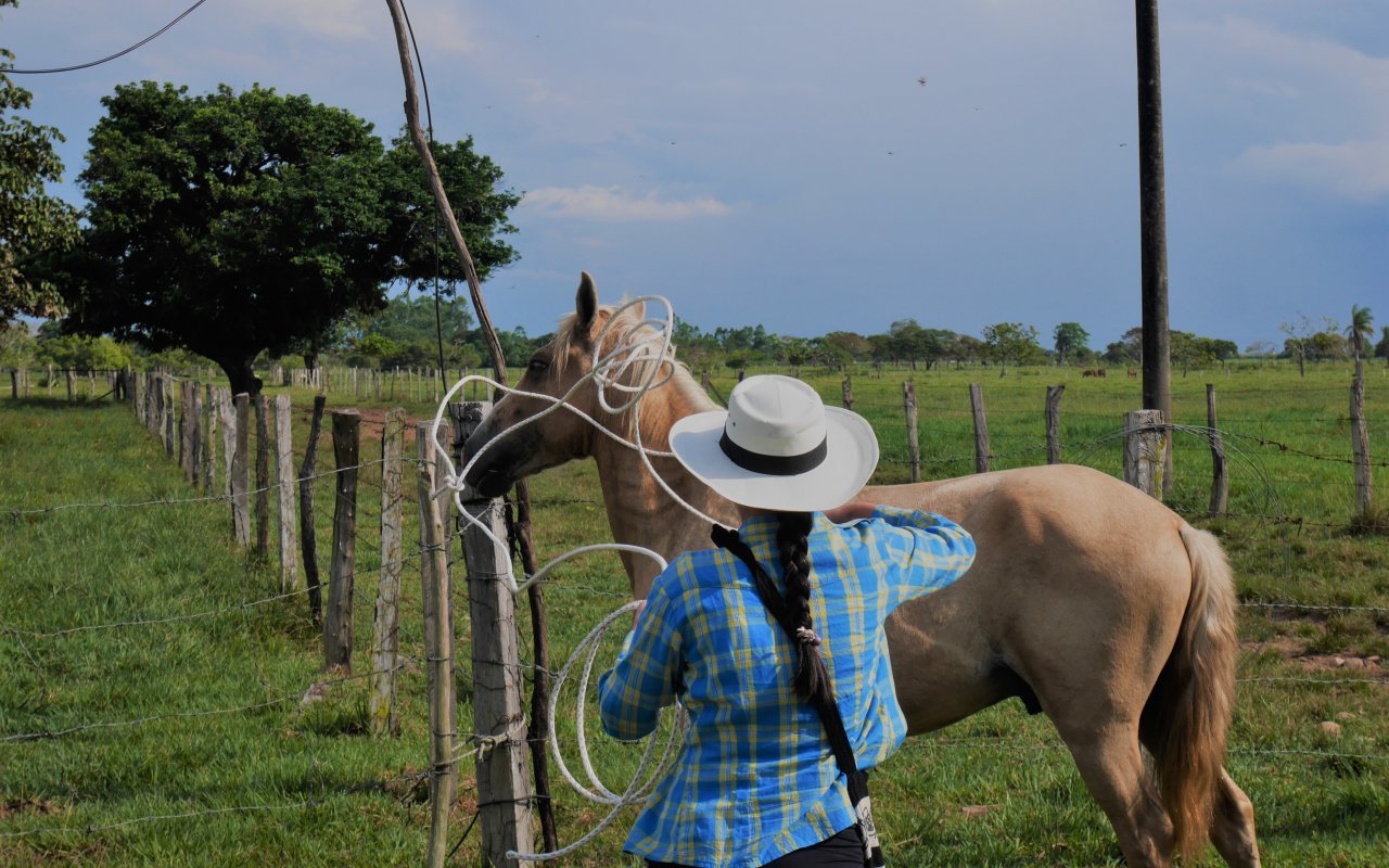 Ballade à cheval dans les Llanos Orientales