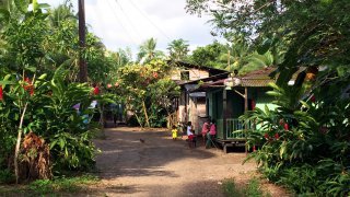 Discovering the Chocó jungle in Colombia